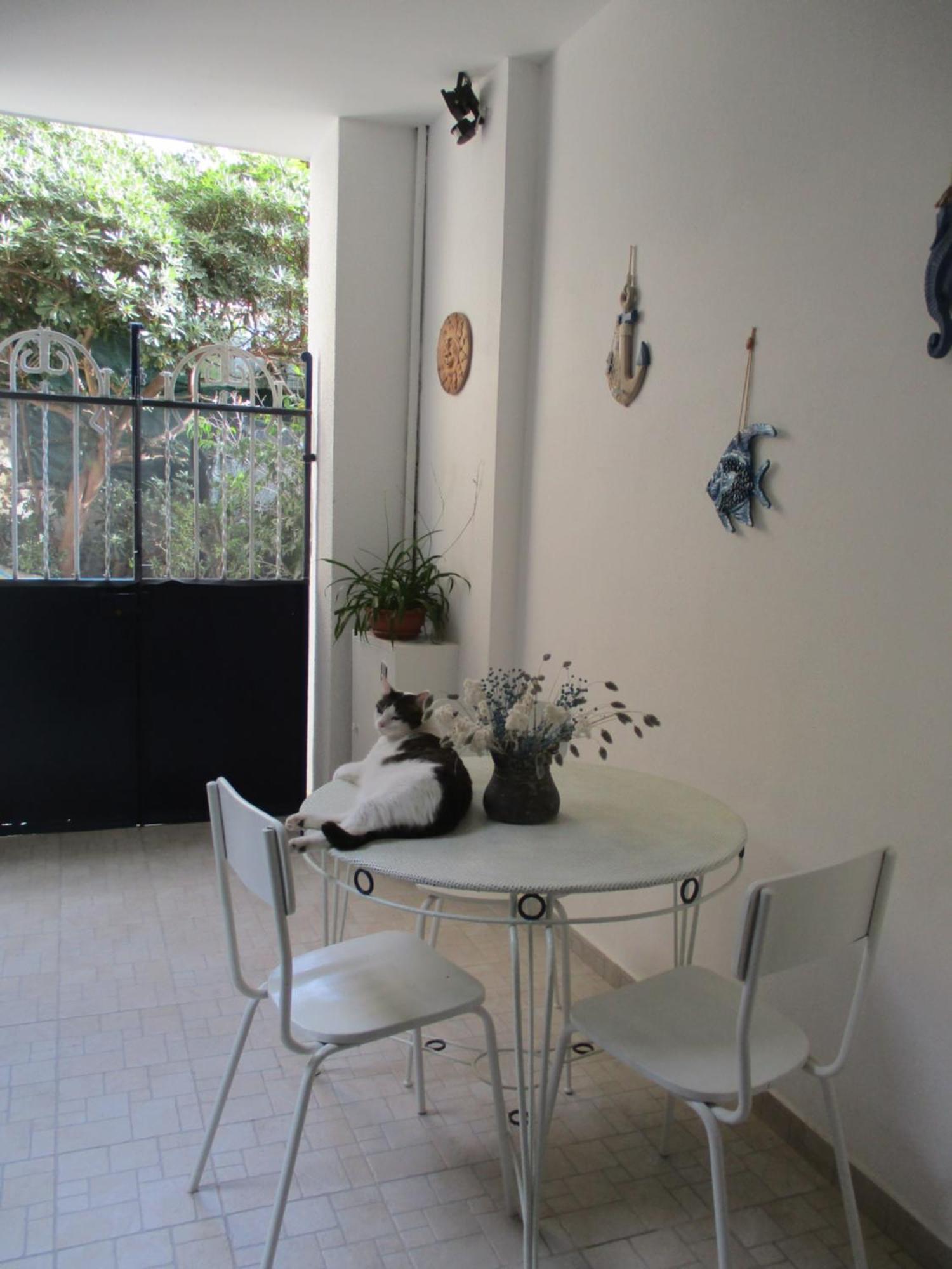 סנרמו La Casa Del Nespolo Tranquillo Alloggio Vicino Alla Stazione מראה חיצוני תמונה
